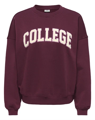 JDY - JDYMesa Emb Sweatshirt - Windsor